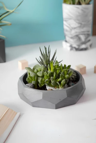 Çok Amaçlı El Yapımı Fasetli Beton Kase/Tabak | Sukulent Saksısı, Meyvelik ve Dekoratif Sunum Tabağı - 3