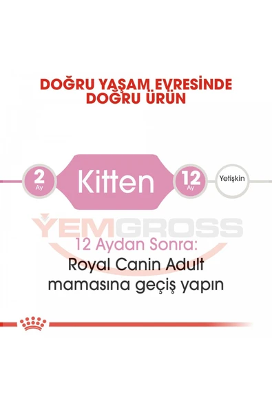 Kitten Yavru Kediler Için Kuru Kedi Maması 10 kg - Resim 4