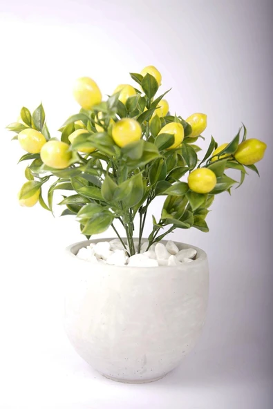 Yapay Limon Ağacı Tanzimi Beton Saksıda Yapay Çiçek Yapay Bitki - 5