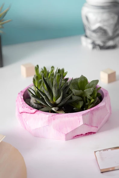 Çok Amaçlı El Yapımı Fasetli Beton Kase/Tabak | Sukulent Saksısı, Meyvelik ve Dekoratif Sunum Tabağı - 5