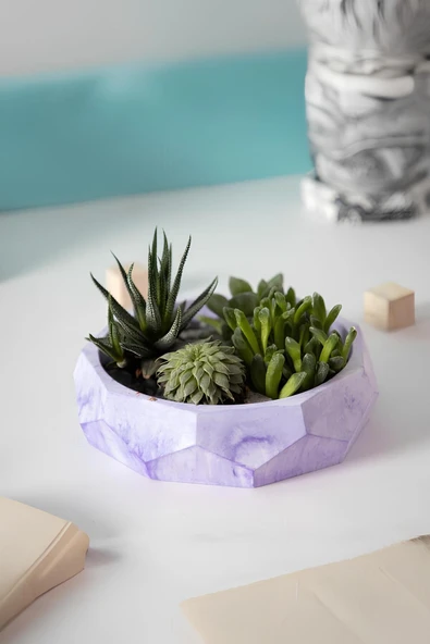 Çok Amaçlı El Yapımı Fasetli Beton Kase/Tabak | Sukulent Saksısı, Meyvelik ve Dekoratif Sunum Tabağı - 6