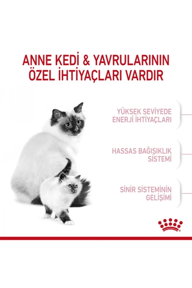 Mother&babycat Gebe/laktasyondaki Anne Ve Yavru Kedi Için Kuru Kedi Maması 2kg - Resim 6