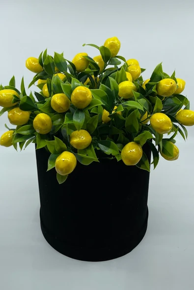 Kadife Silindir Kutuda Yapay Limon Ağacı - 2