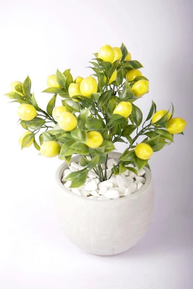 Yapay Limon Ağacı Tanzimi Beton Saksıda Yapay Çiçek Yapay Bitki - 4