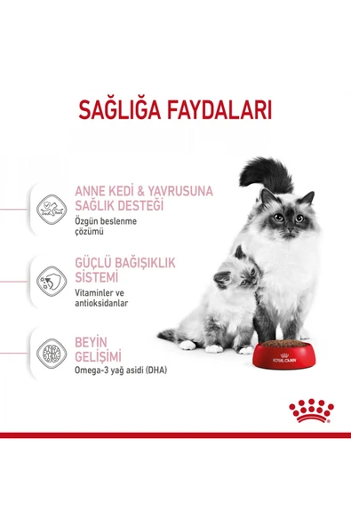 Mother&babycat Gebe/laktasyondaki Anne Ve Yavru Kedi Için Kuru Kedi Maması 2kg - Resim 5