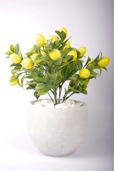 Yapay Limon Ağacı Tanzimi Beton Saksıda Yapay Çiçek Yapay Bitki - 3