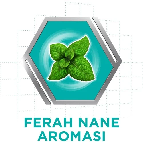 Corega Krem Yapıştırıcı Naneli 40 gr - Resim 4