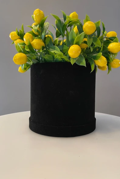 Kadife Silindir Kutuda Yapay Limon Ağacı