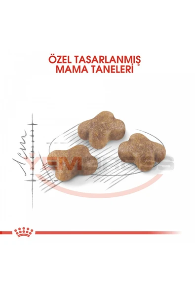 Kitten Yavru Kediler Için Kuru Kedi Maması 10 kg - Resim 3