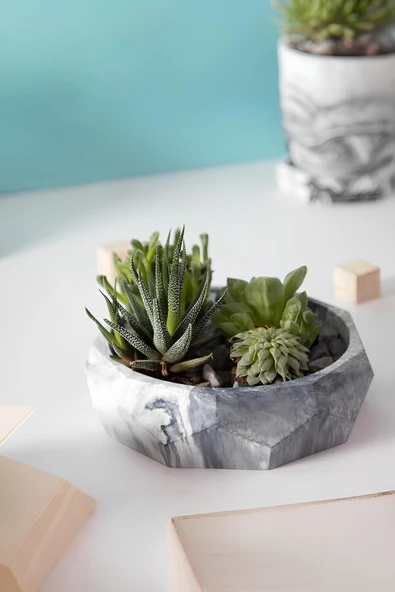 Çok Amaçlı El Yapımı Fasetli Beton Kase/Tabak | Sukulent Saksısı, Meyvelik ve Dekoratif Sunum Tabağı