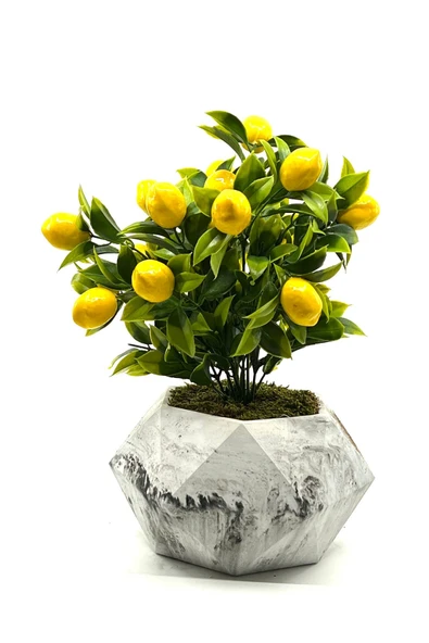 Mermer Desenli Geometrik Beton Saksıda Limon Ağacı 35cm