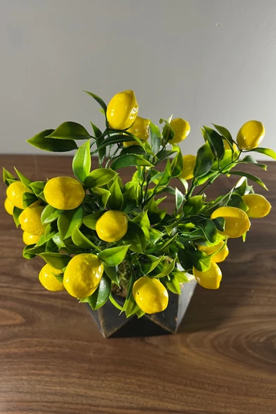 Eskitme Boyalı Geometrik Beton Saksıda Limon Ağacı 35cm - 3