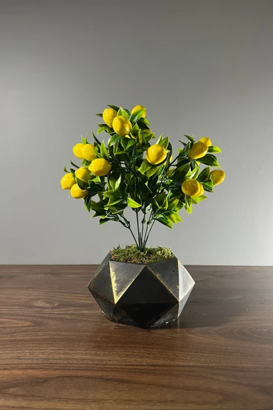 Eskitme Boyalı Geometrik Beton Saksıda Limon Ağacı 35cm - 1