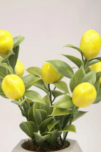 Yapay Limon Ağacı Beton Saksıda Dekoratif Yapay Çiçek Ve Bitki Tanzimi - 4