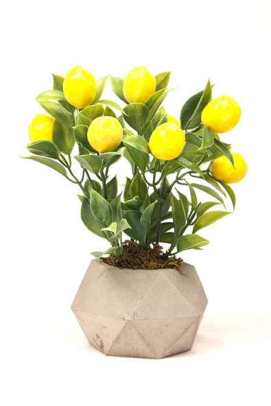 Limon Ağacı Dekoratif Beton Saksıda Mini Yapay Limon Ağacı Tanzimi