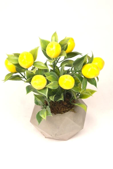 Limon Ağacı Dekoratif Beton Saksıda Mini Yapay Limon Ağacı Tanzimi - 5