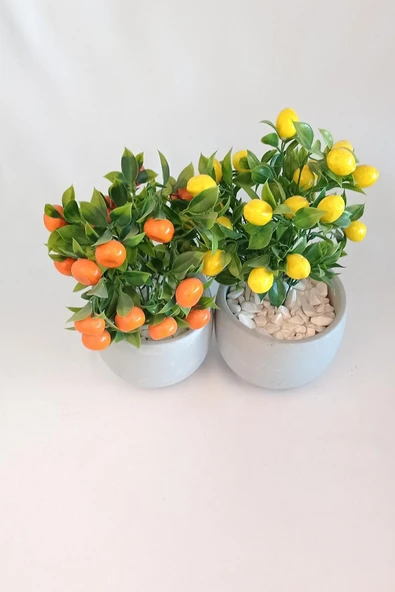 Yapay Ağaç Beton Saksıda Dekoratif Limon Ve Portakal Ağacı Tanzimi - 4