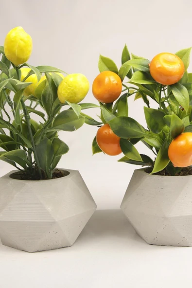 Yapay Bitki Geometrik Beton Saksıda Dekoratif Limon Ve Portakal Ağacı Tanzimi - 6