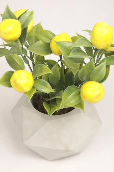 Yapay Limon Ağacı Beton Saksıda Dekoratif Yapay Çiçek Ve Bitki Tanzimi - 3