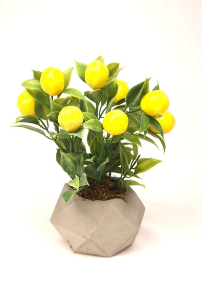 Limon Ağacı Dekoratif Beton Saksıda Mini Yapay Limon Ağacı Tanzimi - 4