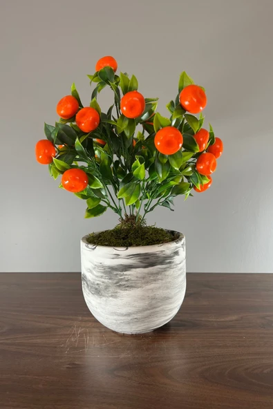 Mermer Görünümlü Beton Saksıda Mandalina Ağacı 35cm - 2