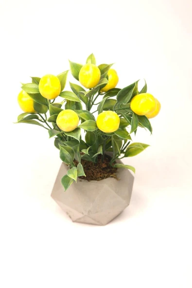 Limon Ağacı Dekoratif Beton Saksıda Mini Yapay Limon Ağacı Tanzimi - 3