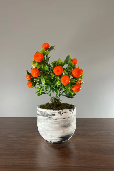 Mermer Görünümlü Beton Saksıda Mandalina Ağacı 35cm - 1
