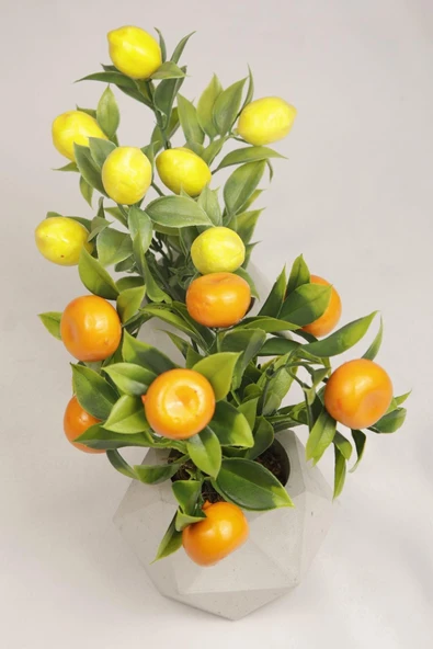 Yapay Bitki Geometrik Beton Saksıda Dekoratif Limon Ve Portakal Ağacı Tanzimi - 5