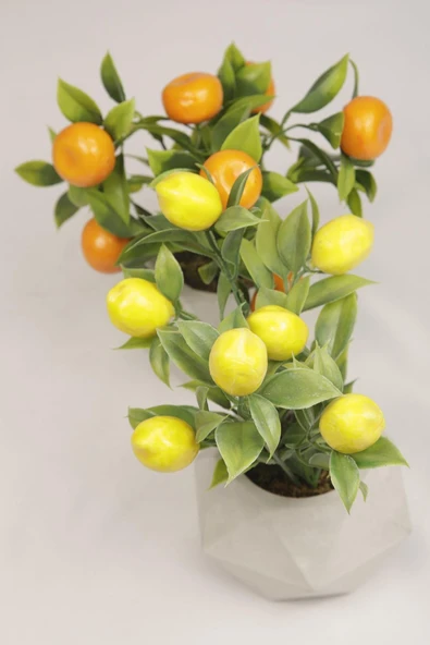 Yapay Bitki Geometrik Beton Saksıda Dekoratif Limon Ve Portakal Ağacı Tanzimi - 3