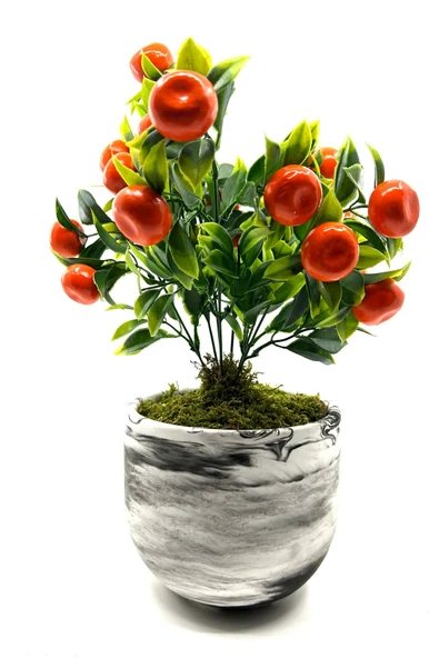 Mermer Görünümlü Beton Saksıda Mandalina Ağacı 35cm - 3