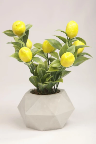 Yapay Limon Ağacı Beton Saksıda Dekoratif Yapay Çiçek Ve Bitki Tanzimi - 2