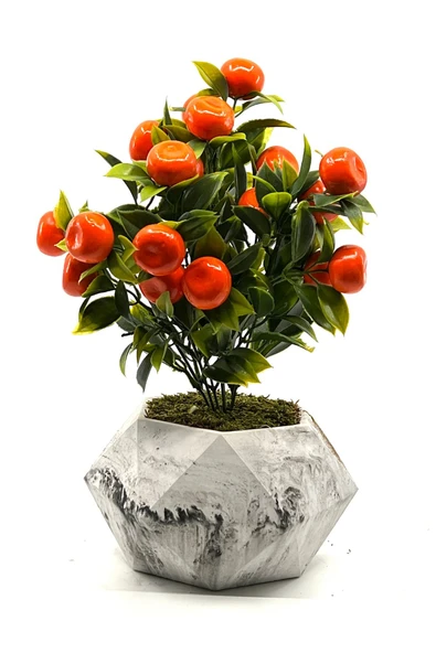 Mermer Desenli Geometrik Beton Saksıda Mandalina Ağacı 35cm - 1