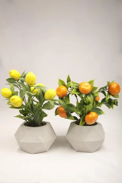 Yapay Bitki Geometrik Beton Saksıda Dekoratif Limon Ve Portakal Ağacı Tanzimi - 1