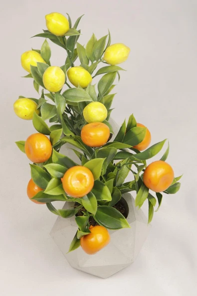 Yapay Bitki Geometrik Beton Saksıda Dekoratif Limon Ve Portakal Ağacı Tanzimi - 4