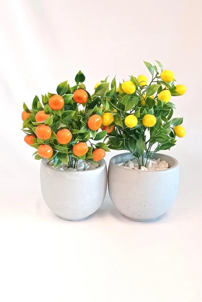 Yapay Ağaç Beton Saksıda Dekoratif Limon Ve Portakal Ağacı Tanzimi