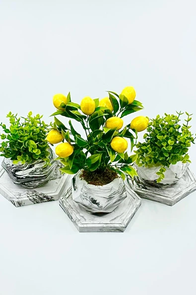 Altıgen Tepsili Mini Mermer Desenli Beton Saksıda Limon Yeşillik 3'lü Set - 1