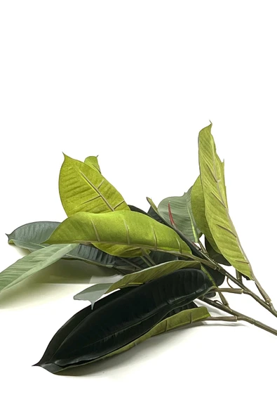 2 Dal Yapay Ficus Elasticos Kauçuk Ağacı Çiçeği 60 Cm