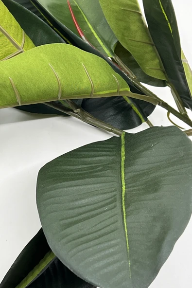 2 Dal Yapay Ficus Elasticos Kauçuk Ağacı Çiçeği 60 Cm - 2