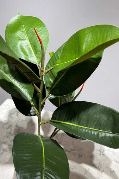 Mermer Geometrik Saksıda 2 Dal Yapay Ficus Elasticos Kauçuk Ağacı Çiçeği 75 Cm - 3
