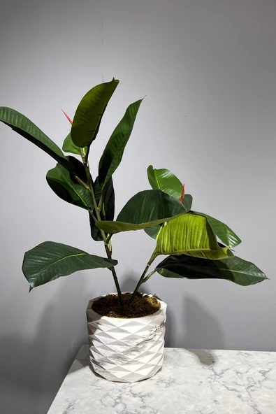 Mermer Geometrik Saksıda 2 Dal Yapay Ficus Elasticos Kauçuk Ağacı Çiçeği 75 Cm - 1