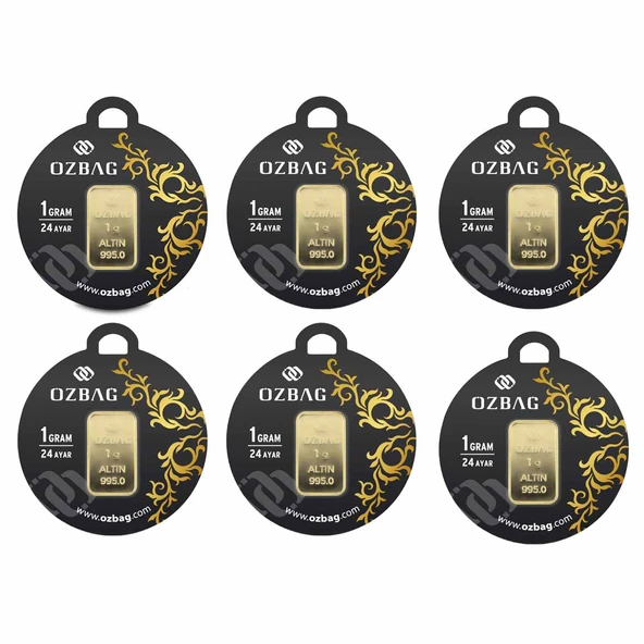 AgaKulche 24 Ayar 6 Adet 1 gr 995 Özbağ Külçe Altın ürün görseli 1