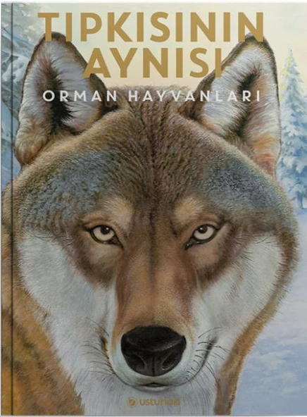 Tıpkısının Aynısı ürün görseli 1