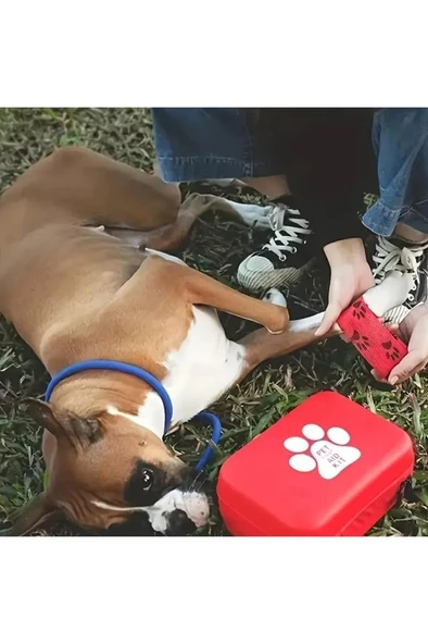 Kedi Köpek Acil İlk Yardım Seti Pet Ecza Çanta Tıbbi Malzeme Tedavi Yürüyüş Tatil Kamp Çantası - 4