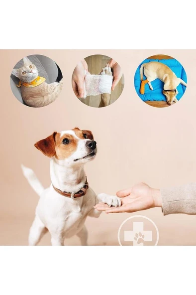 Kedi Köpek İlk Yardım Seti Pet Ecza Çanta Acil Tıbbi Tedavi Müdahale Yürüyüş Tatil Kamp Çantası - 4