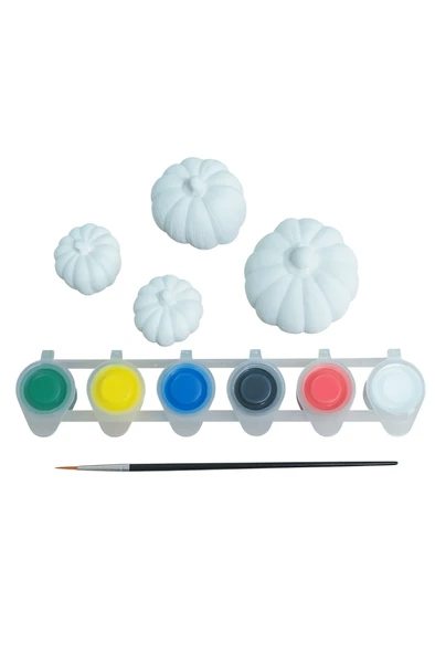 Ehobici Taş Boyama Seti Bal Kabağı 6 Renk Akrilik Boya 5ml + Fırça - 3