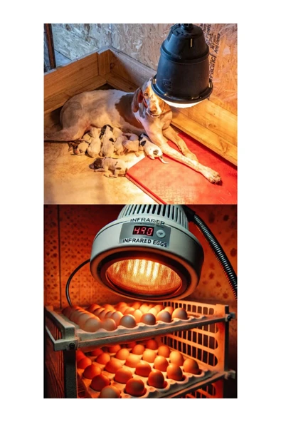 (6 Adet) 250W Kızılötesi Isıtıcılı Hayvan Isıtma ve Kuluçka Lambası (Kırmızı Işık) E27 (Kalın Duy) - 5