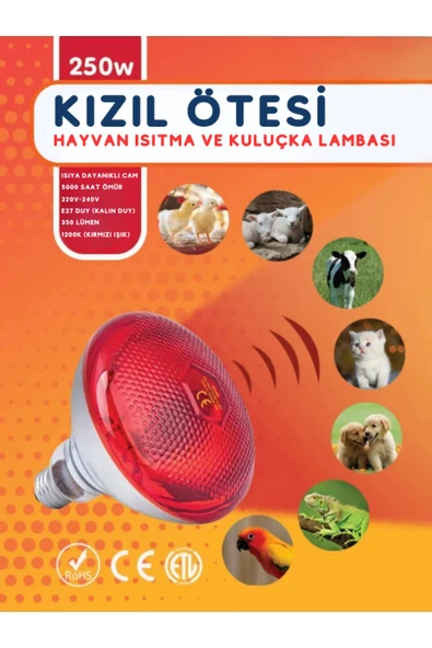 (6 Adet) 250W Kızılötesi Isıtıcılı Hayvan Isıtma ve Kuluçka Lambası (Kırmızı Işık) E27 (Kalın Duy) - 2