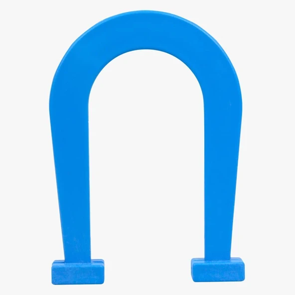 AT NALI MIKNATIS (KÜÇÜK) - Resim 3