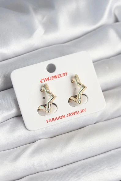 pilelistore Pirinç Gold Renk Yıldız Model Kadın Küpe - TJ-BKP11243