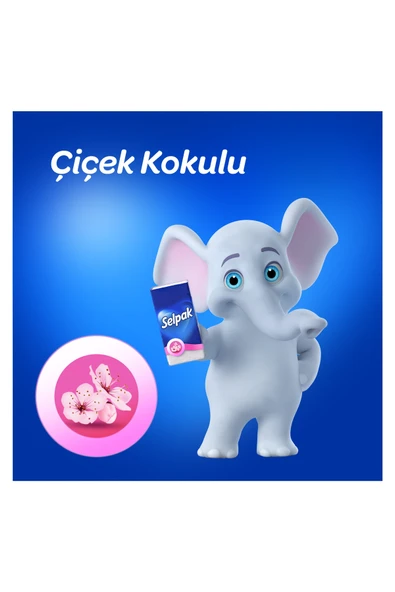 SELPAK ® Çiçek Kokulu Mendil 100'lü (10*10) - 5